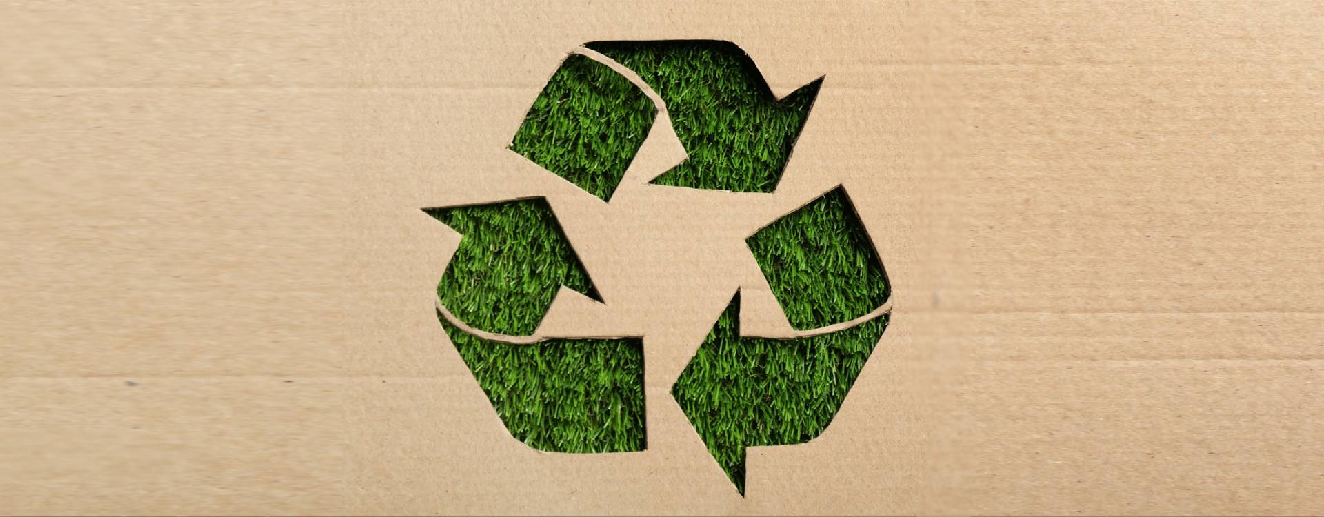 ¿Cuál es la mejor forma de reciclar cajas de cartón?