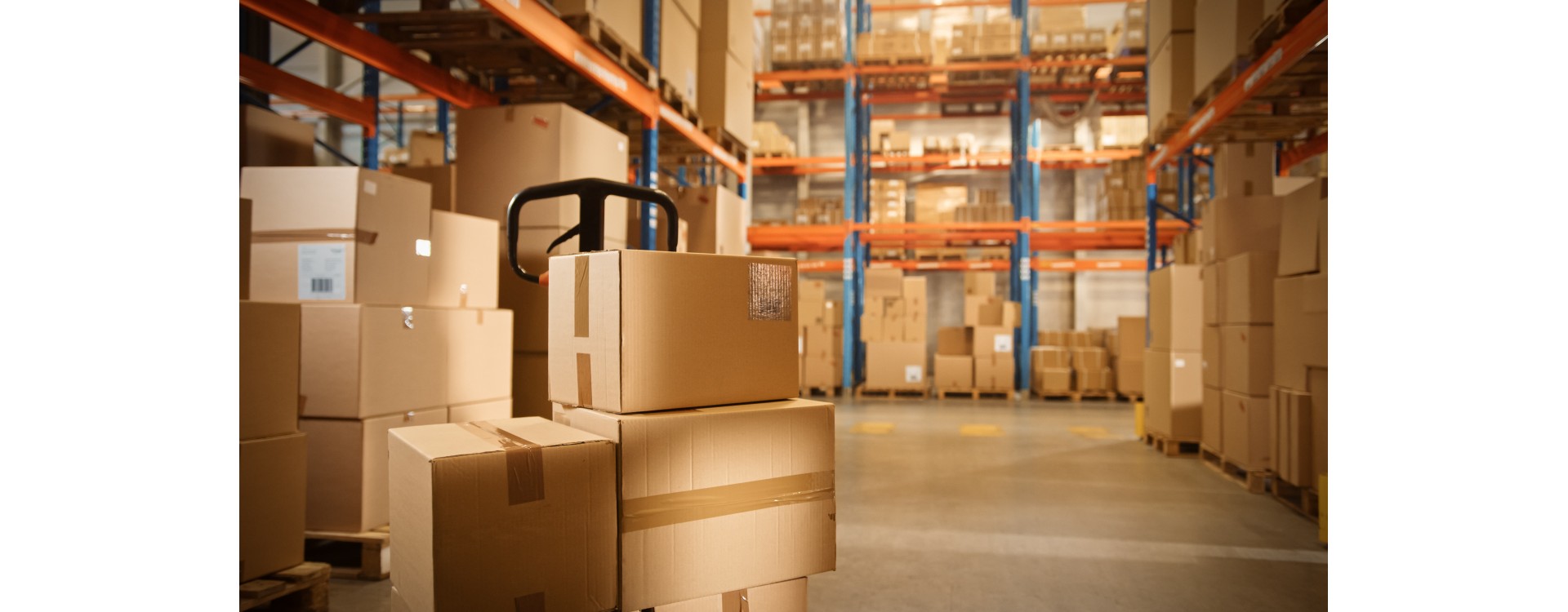Coplasem: Tu proveedor integral de cajas de cartón en todas las medidas Coplasem: Tu proveedor integral de cajas de cartón en todas las medidas