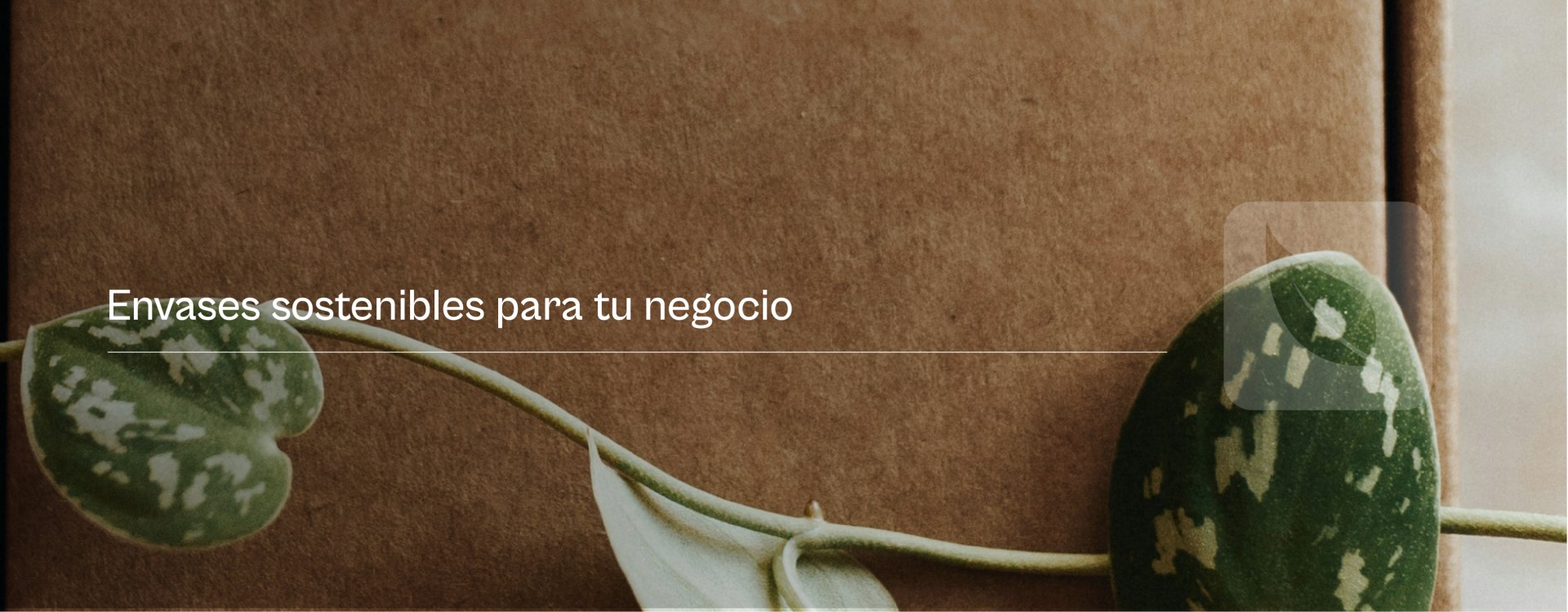 ¿Porque Renovar los envases de tu negocio por unos más sostenibles? ¿Porque Renovar los envases de tu negocio por unos más sostenibles?