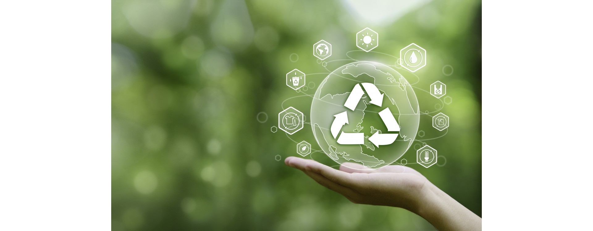 Las Ventajas del Embalaje Biodegradable: Una Solución Sostenible para el Futuro Las Ventajas del Embalaje Biodegradable: Una Solución Sostenible para el Futuro