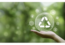 Las Ventajas del Embalaje Biodegradable: Una Solución Sostenible para el Futuro